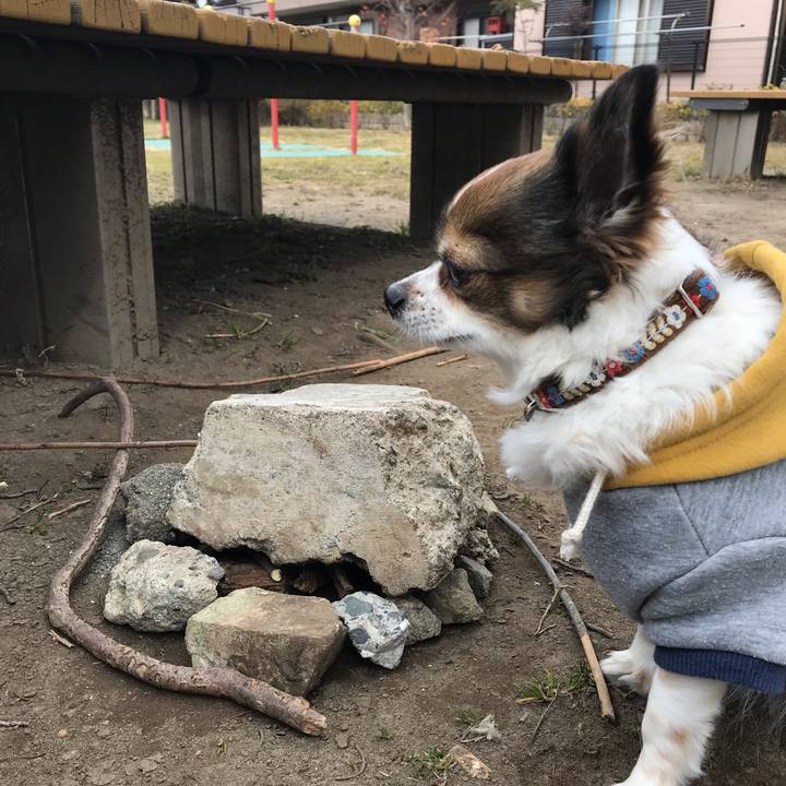 666760b1 07a4 4e36 9cd6 327c919cda1a 1548642202204