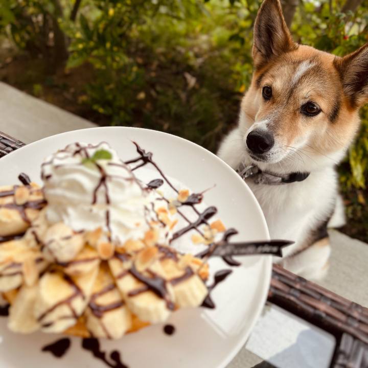 66677a29 db72 4dfb 9018 77a300aee287 1760152454985