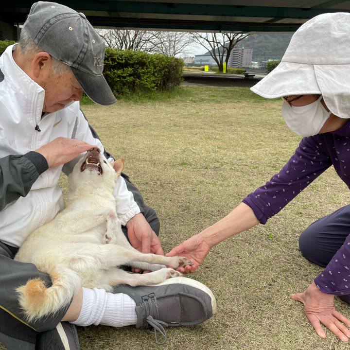 6667dd8a c526 4f73 b392 d293de4e51a0 1678714155114