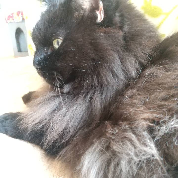 66680791 0b2f 4099 a759 342c5b165d15 1696766274960