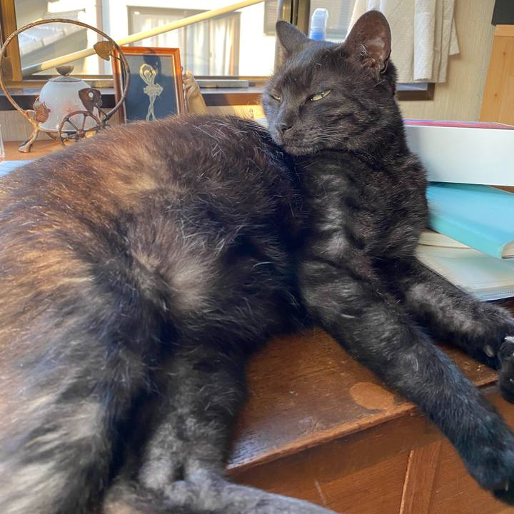 66681c53 f22e 4cc4 a604 b90af7c11715 1589279776472