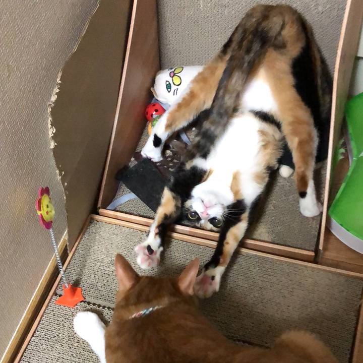 66683e2a d954 4cd5 9cef 3acc5efabdb2 1624937015685