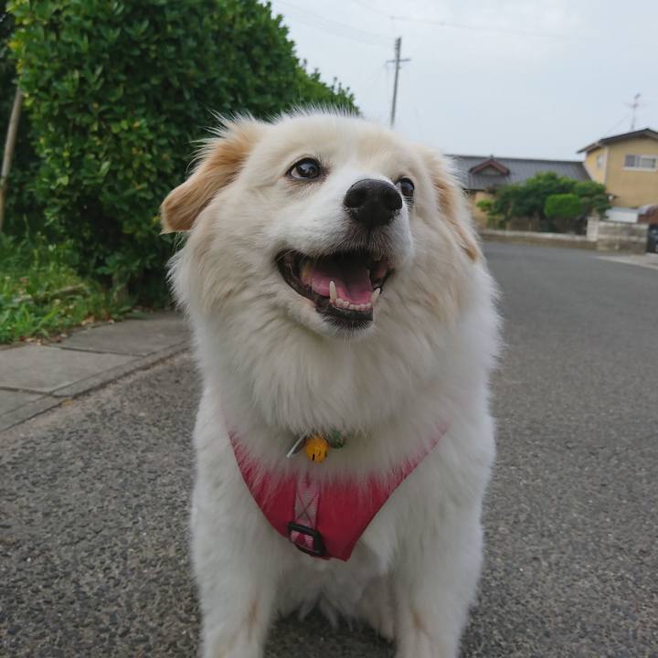 666845aa 5927 44a8 a306 55dfb2dd988a 1531950370152