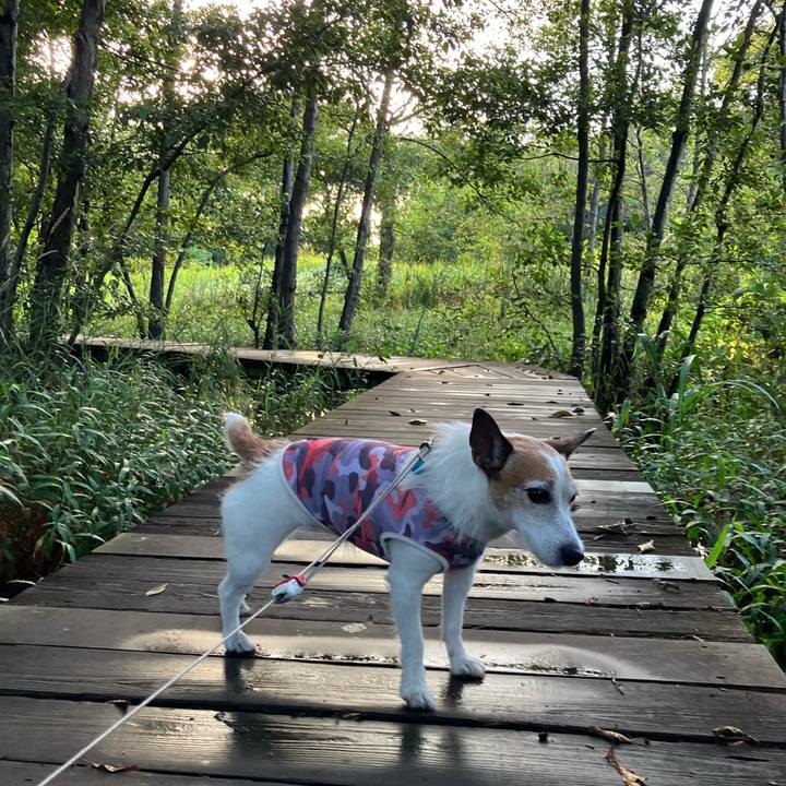 66684ee3 02d4 4831 a04e 2980f76b6578 1691364149187