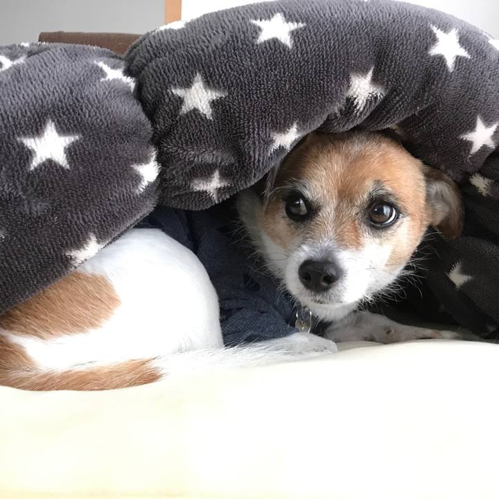 66685121 bf42 4886 9a69 d10d4d33de1c 1574914351542