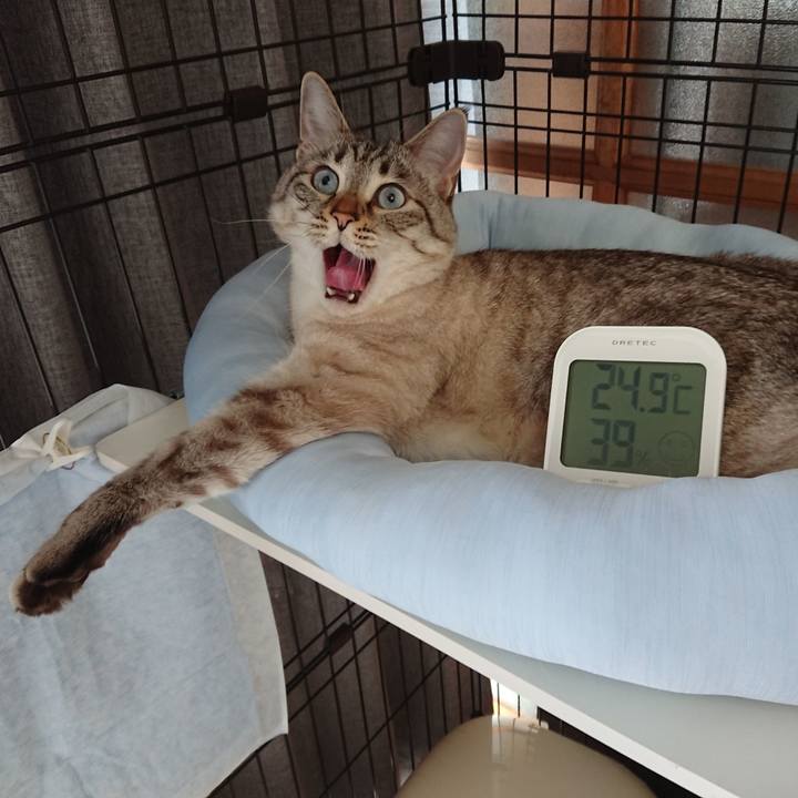 666851f3 f7fe 427c b007 824c76683145 1556776160059