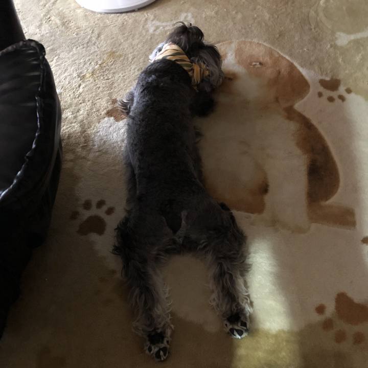 666869a0 b5b1 4f45 af15 c1fa61219ce2 1530410684473