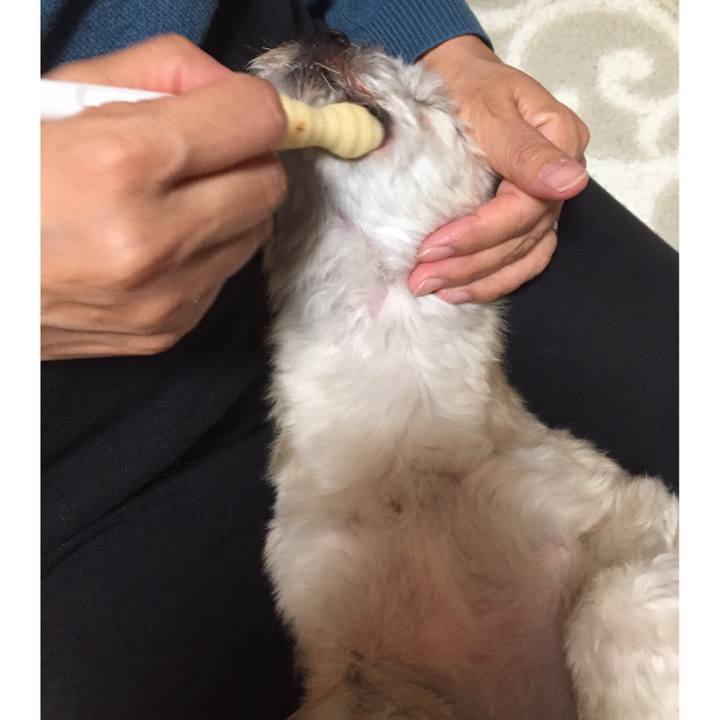 66686d70 493f 4ec5 b1ef a8417ae456c6 1549281013055