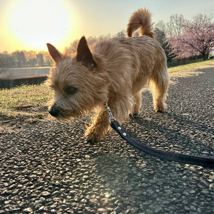 666871ef c25e 404d 94f7 69e0ed275dd4 1742806677717