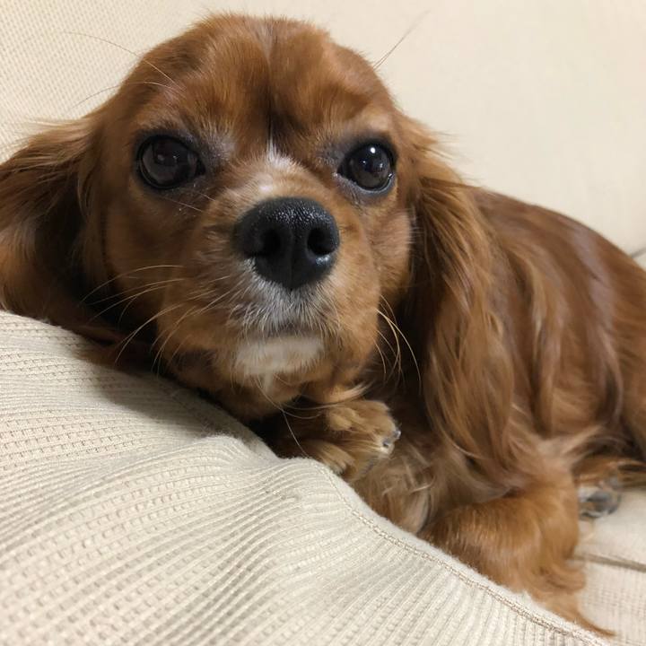 666879cc 2703 4a74 a0a7 d529e57e52c4 1525605774777