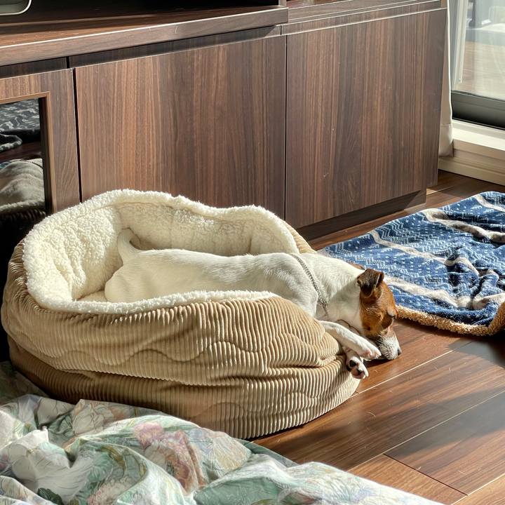 666879e1 cc25 4cd0 b66f daa1037f7b29 1647387319745