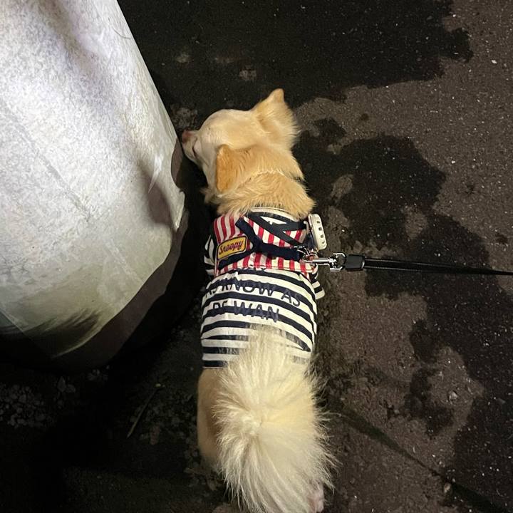 6668b43e ef42 43aa adad b034b7efee7e 1727701460836