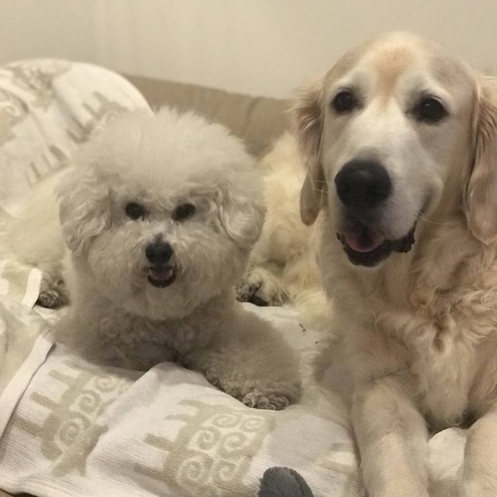 6668bf31 d211 43dc 8b55 cc5366511e2c 1527856719200