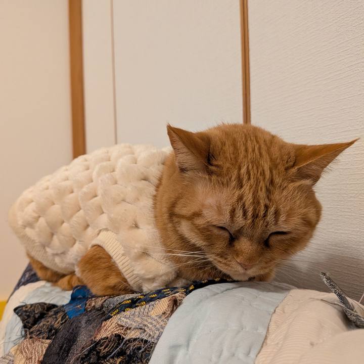 6668e202 6a26 40b6 965d 5343a361a3da 1768475334510