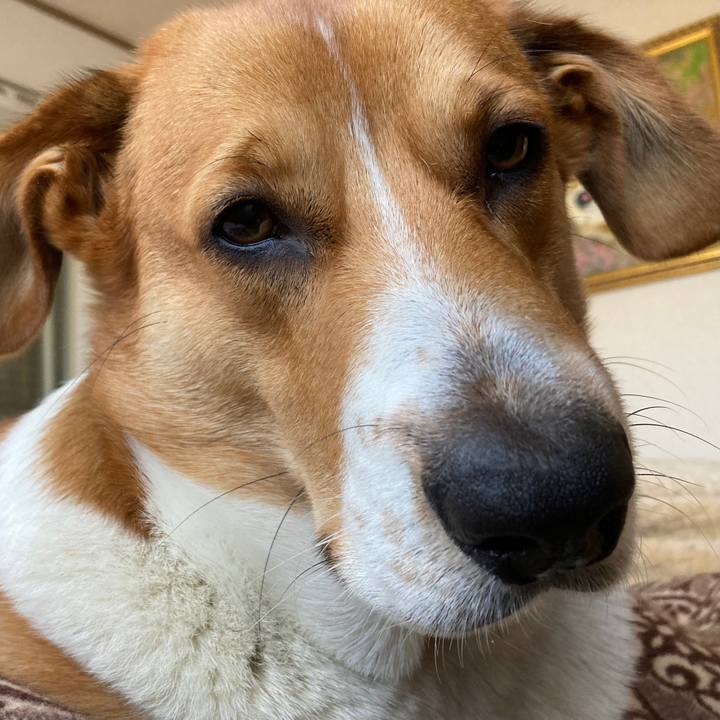 6668fceb 2960 46ed 8f9c 759525997a6e 1638758111905