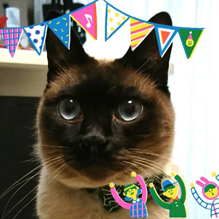 666909dd 64b3 42b5 8179 7f2bc97eecf0 1522453715857