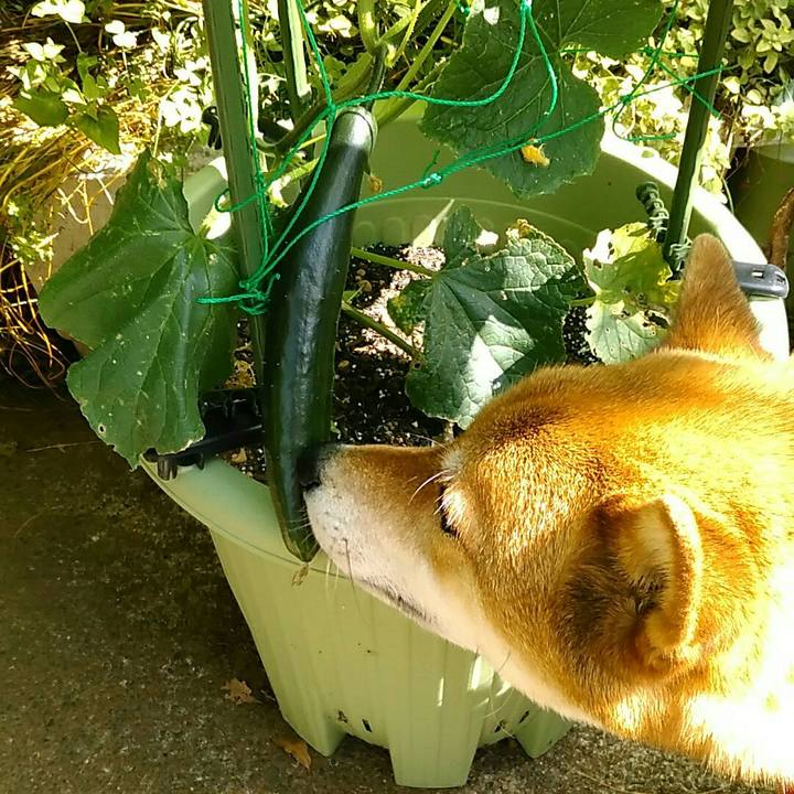 6669194a a8d5 4690 9d3e 5361db3653e8 1528156981336