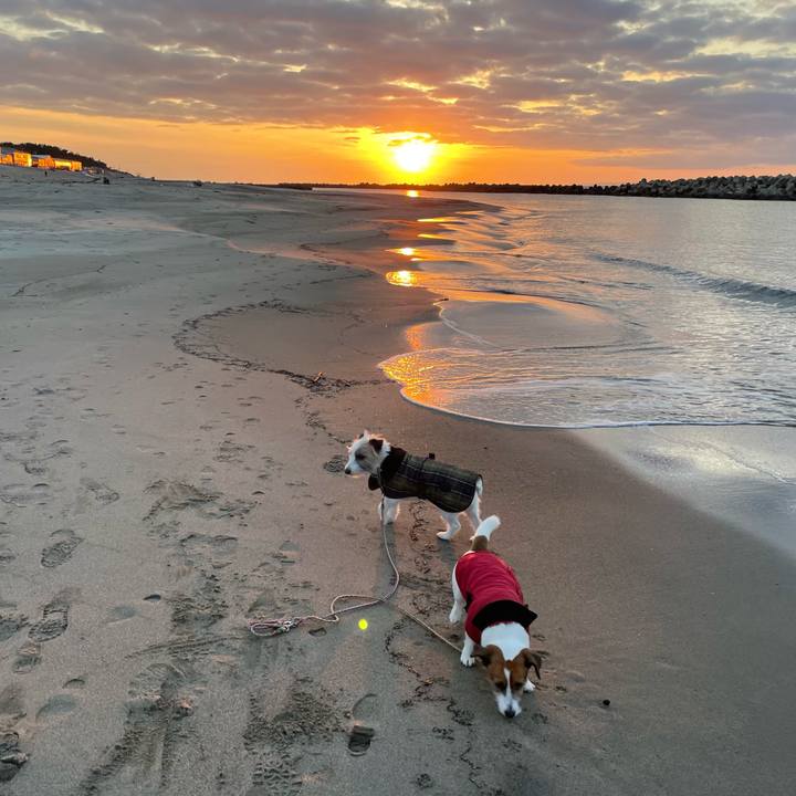 6669681f 8caf 4968 b60c 6b0f192026d7 1676109666402