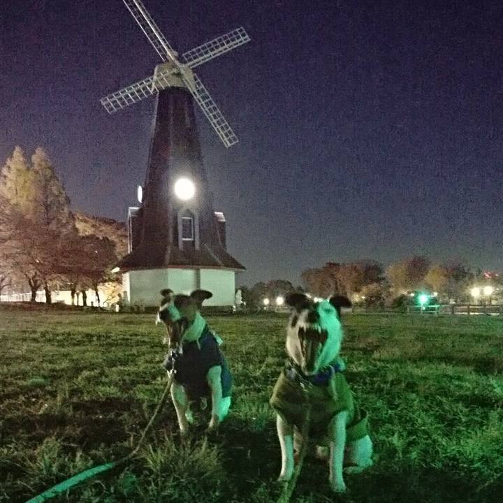 66696f1e 07d5 4d69 b48f 1ac6dd3efbd6 1575113717381