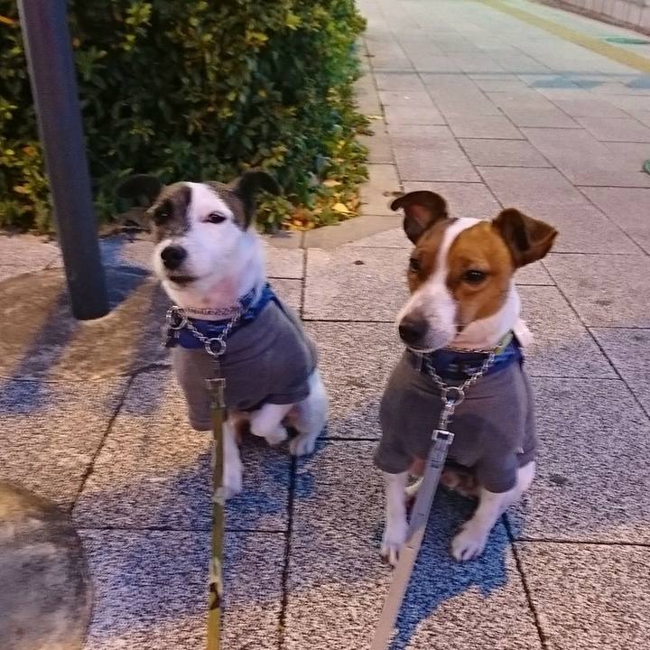 66697269 4bd9 433f b036 e3bb7152dfc2 1577828731490