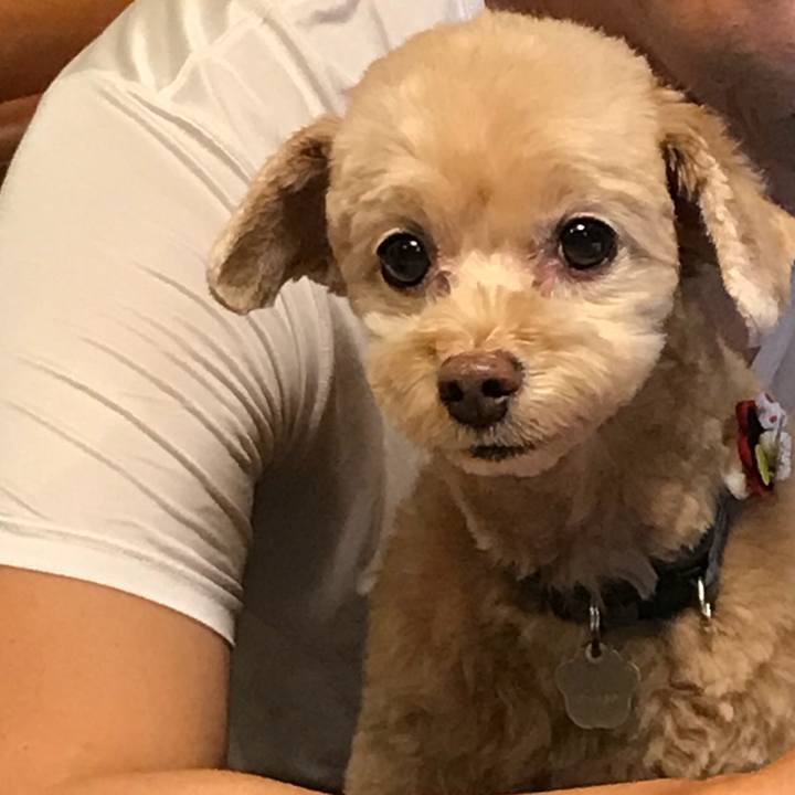 66698c9a cad3 4c12 8a03 626096144798 1538738553851