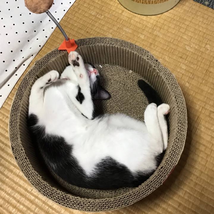 66699051 1d93 49a7 8140 79e7521400f8 1629277492774