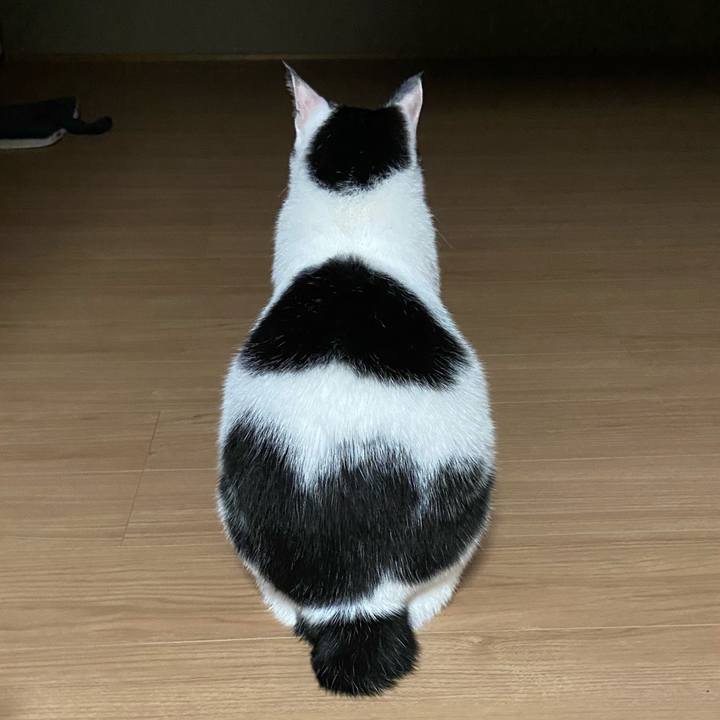 6669d457 e800 4a18 bc5f 4469dc8002c6 1602425579106