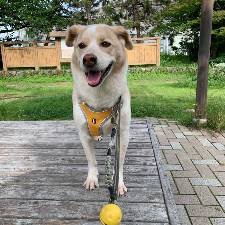 6669ffc9 a290 4e76 9eef 06028f05840a 1563581851536