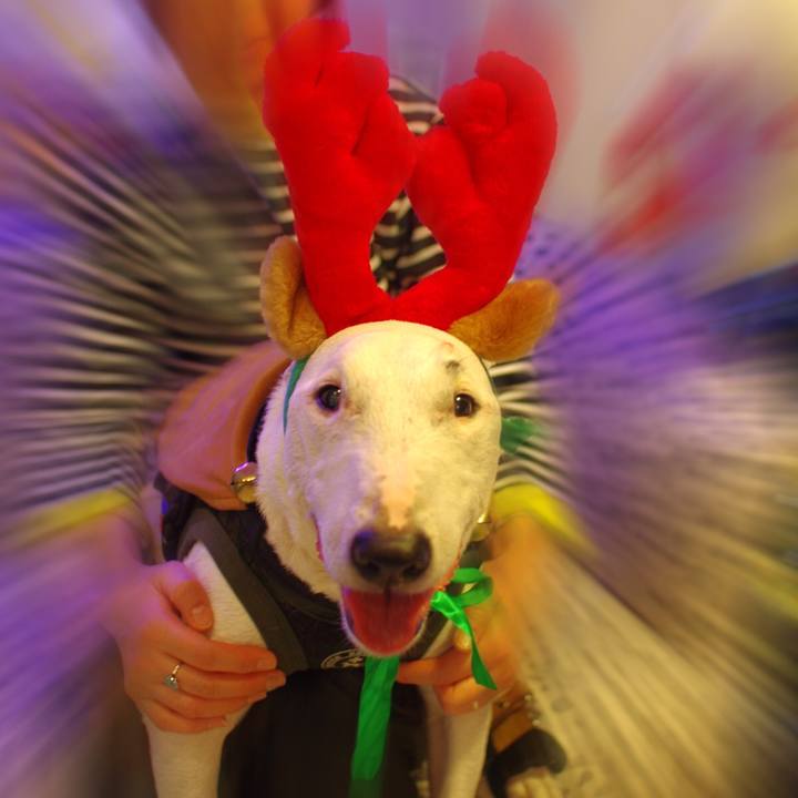 666a17a3 0e30 439b aa14 aab3cc52e03e 1517839410531