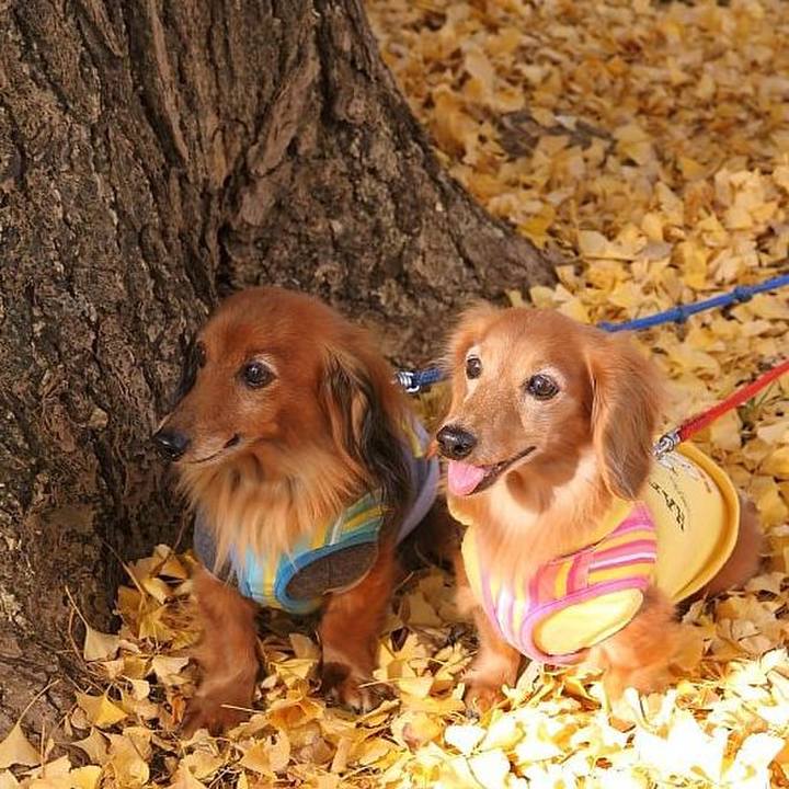 666a9121 9d4b 4706 b5d7 45edcb16bc55 1763175487518