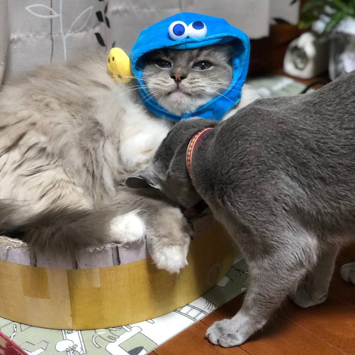 666a929a 4ca0 4c0e 824f d1d399094e10 1545661173326