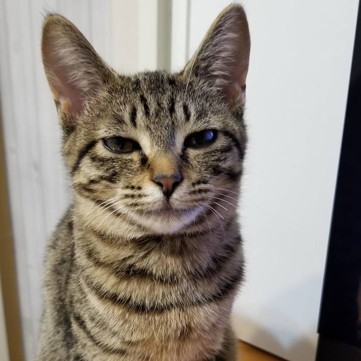 666ac319 47d1 4e7f 807c e88ced064340 1541945360635