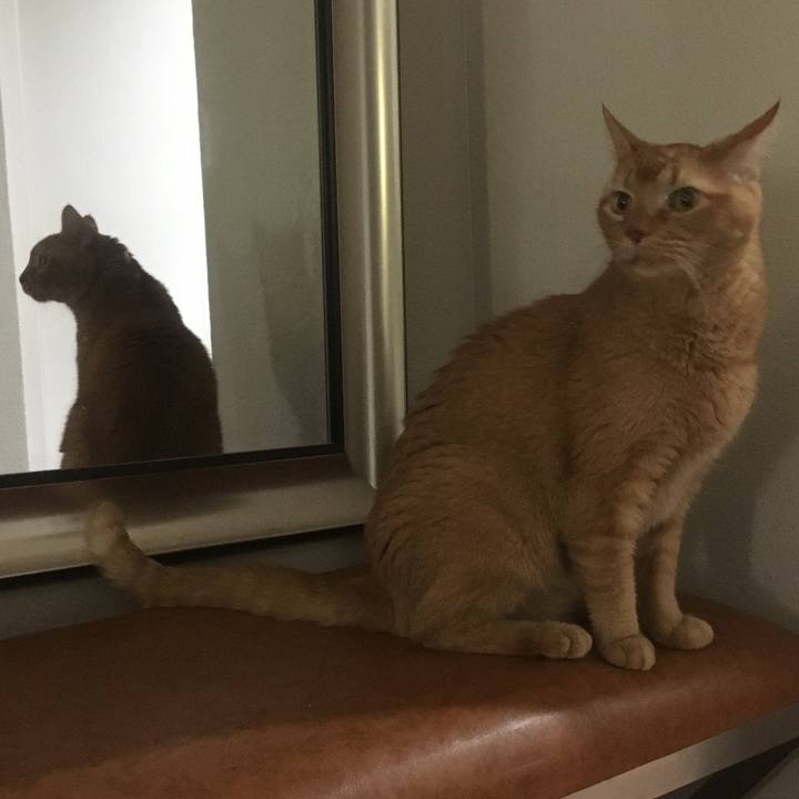 666acf02 3197 4d2e a027 711a76a11b6f 1633872490776