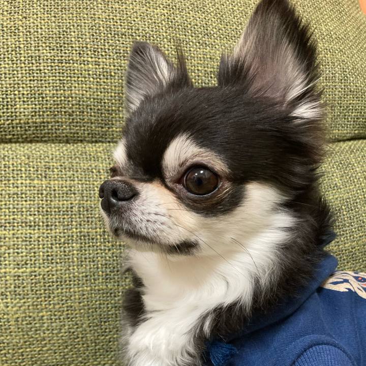 666ad63a 8a68 4db8 8d1a 8313bfde05fb 1673213070963