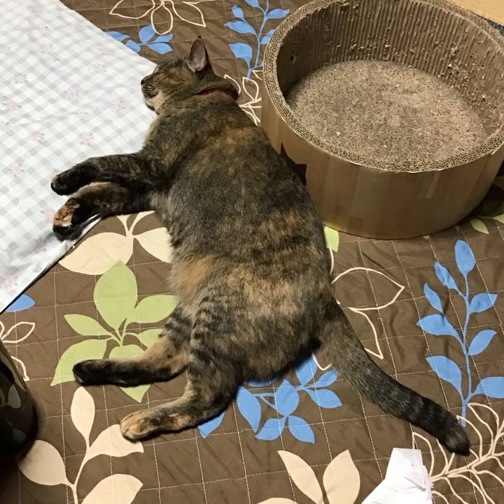 666af243 abef 4fcb 8b7a 2e07ff70b846 1728813629885