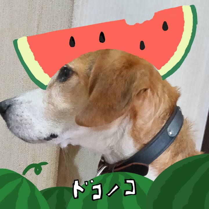 666afd05 3c41 4a34 8477 5a1c7eec76a8 1720859744401