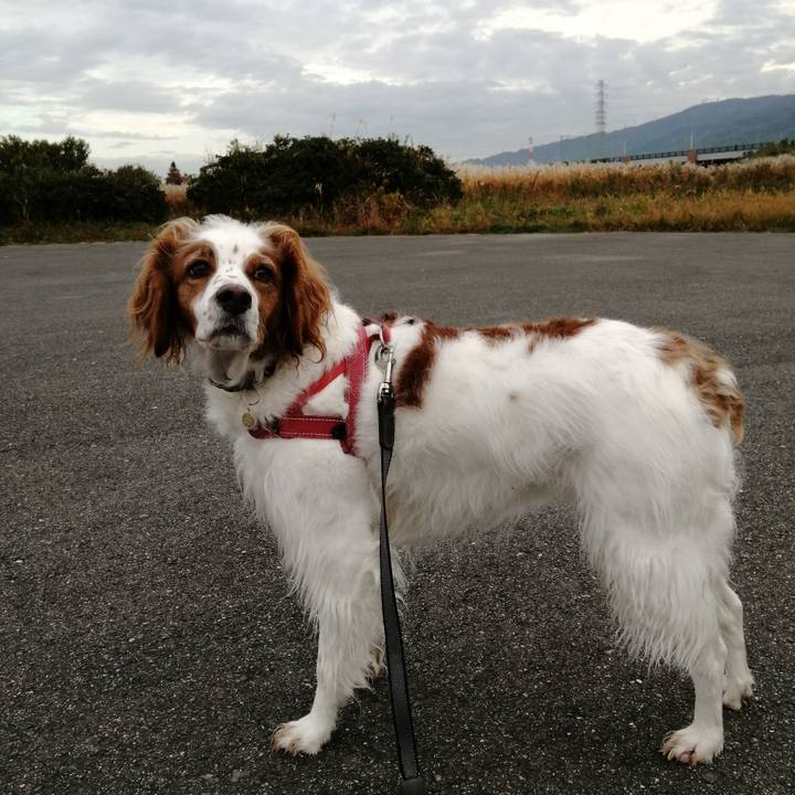 666b187d 9617 44f0 9fb1 09988083aaea 1574381970999