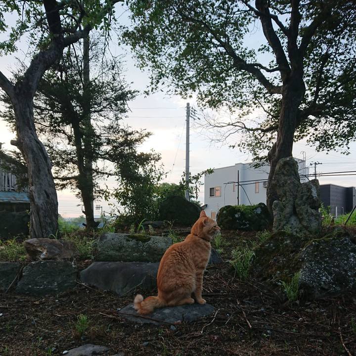 666b589a aff0 4a0c a5aa b2234b8eb036 1660600537089