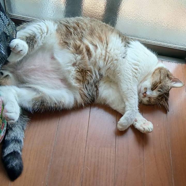 666b789f 532a 412f ad34 efd21d688fd6 1751783541371