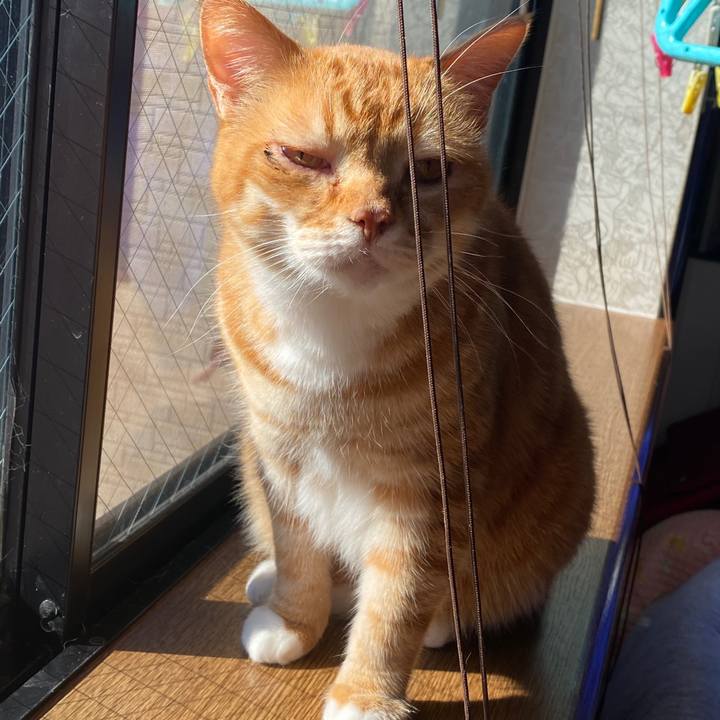 666b93ce 232d 470a b470 dbbd7d3bfc4b 1580520986235