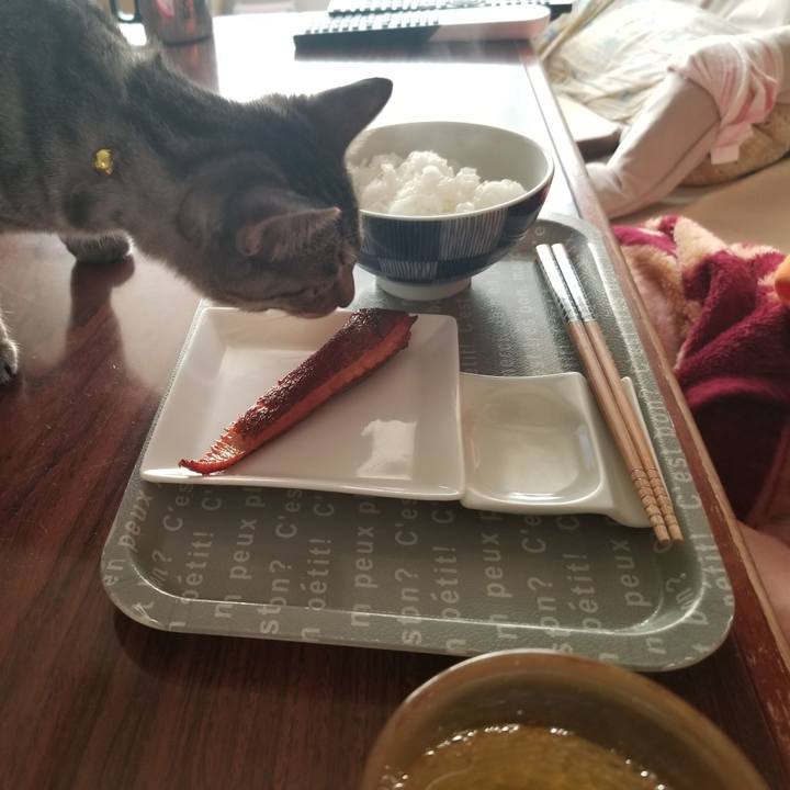 666ba10d 0141 46eb a61b 113da520d319 1670425317575