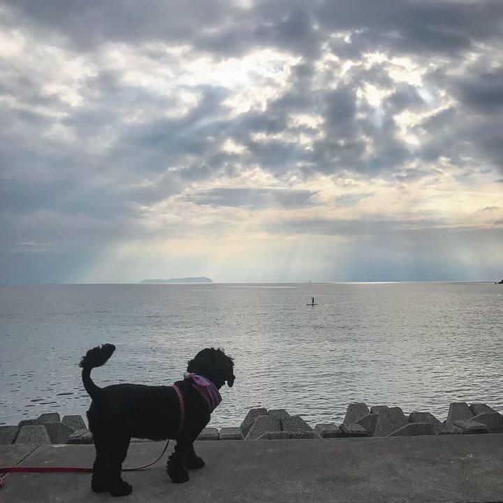 666bb0d5 4429 4d44 a576 41384bb835aa 1537007814830