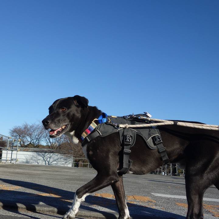 666beda6 634b 4f8b 985b 59f24da49c2b 1637713508065