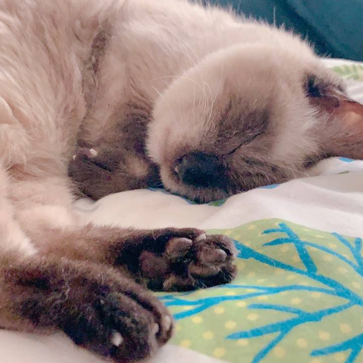 666bf29d 15d9 45db a2e3 538024b3f051 1692238235012