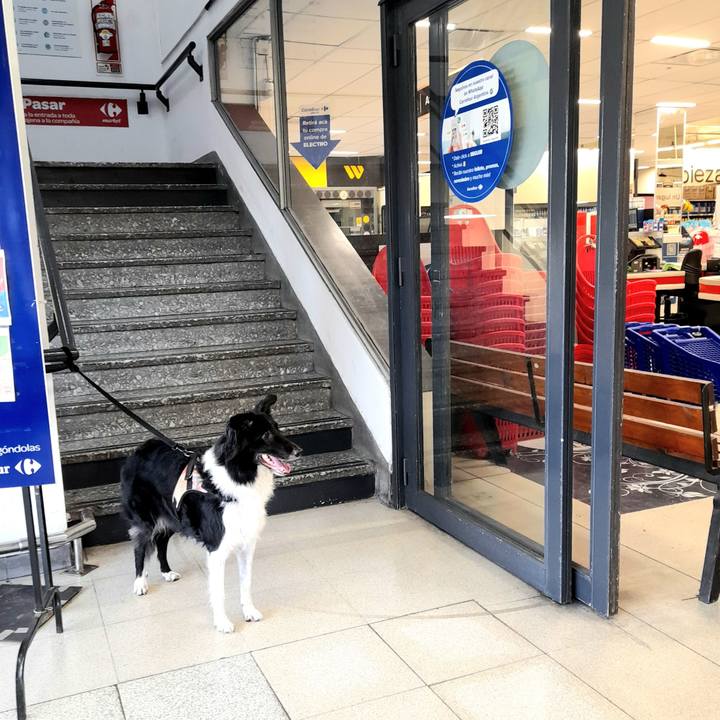 666bfb0e a952 4951 9a22 039b2fc70df4 1771274536070