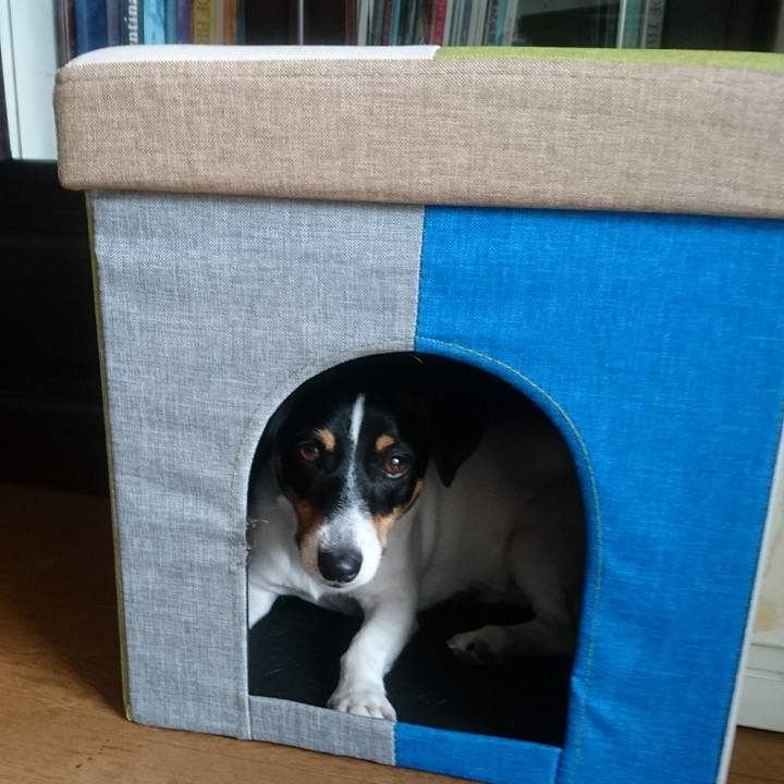 666c019c a29f 423c 99d5 ce68b45d570f 1559303081033