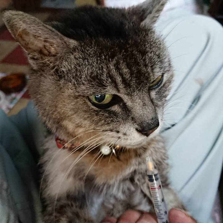 666c0a92 ccfd 4eeb 8e78 0df90da6c9f6 1594850003515