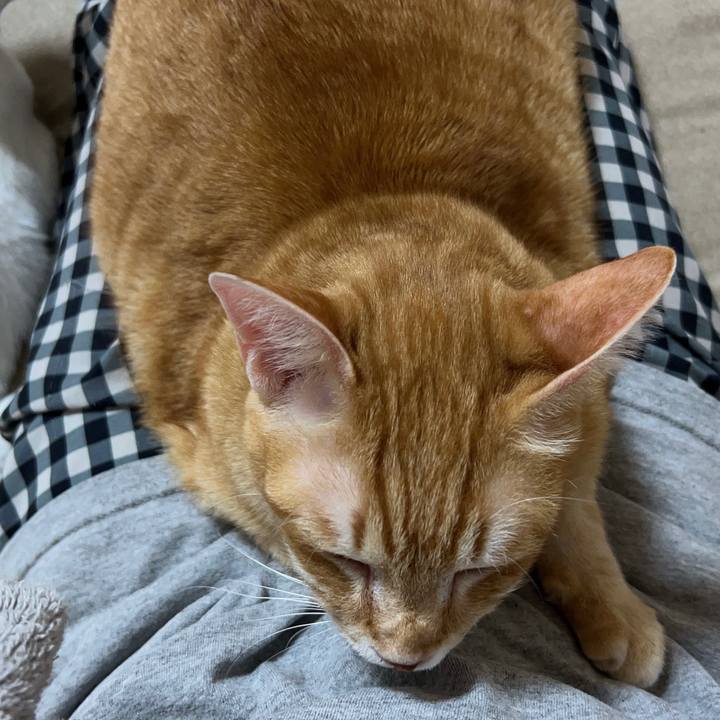 666c6127 6363 4b07 aea8 8aaf6df9edd9 1676631779020