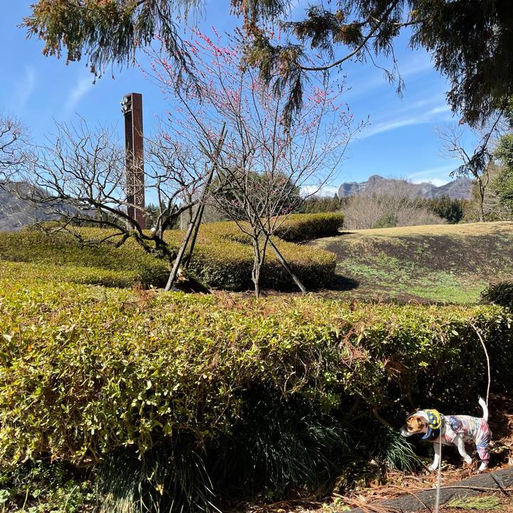 666c61a7 6843 454d 92f1 ae2ca471828d 1647759376391