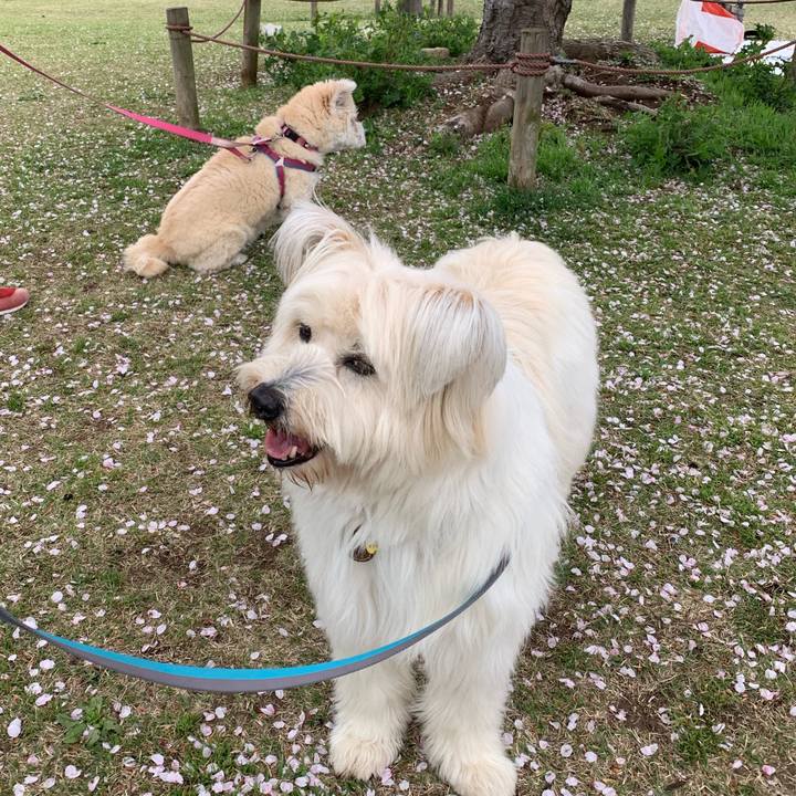 666c6dc4 99a3 43be 90e4 162952bcfcd1 1744462484129